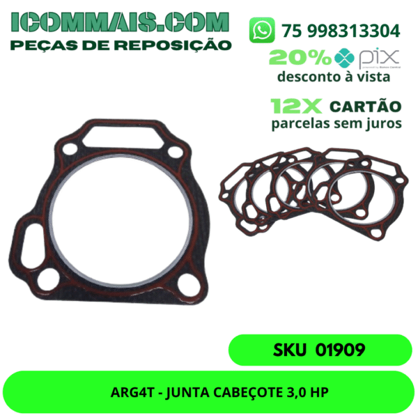 01909 - ARG4T - JUNTA CABEÇOTE 3,0 HP