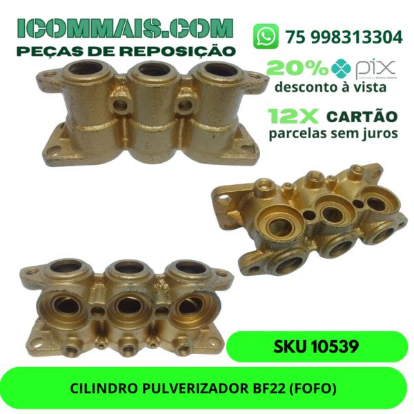 10539 - CILINDRO PULVERIZADOR BF22 (FOFO)