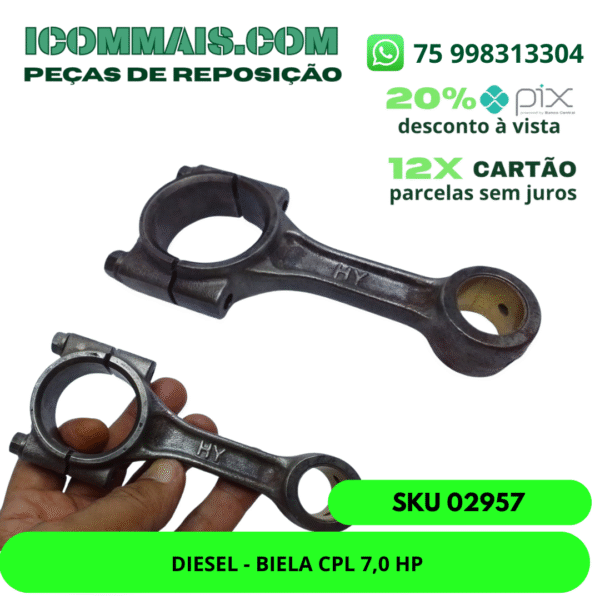 02957- DIESEL - BIELA CPL 7,0 HP