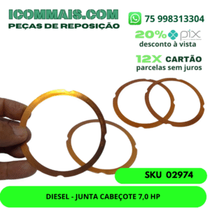 02974 - DIESEL JUNTA CABEÇOTE 7,0 HP