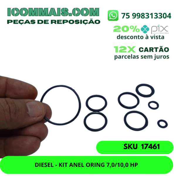 17461 - DIESEL - KIT ANEL ORING 7,0/10,0 HP
