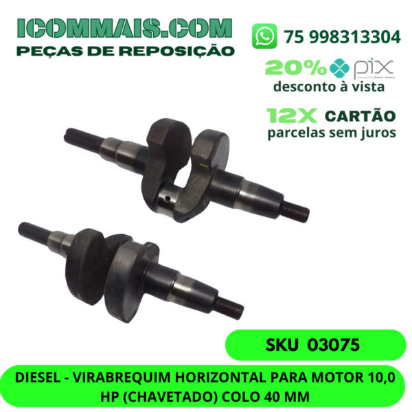 03075 - DIESEL - VIRABREQUIM HORIZONTAL PARA MOTOR 10,0 HP (CHAVETADO) COLO 40 MM