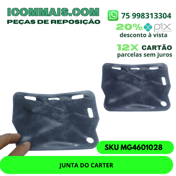 MG4601028 - JUNTA DO CARTER