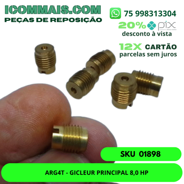 01898 - ARG4T - GICLEUR PRINCIPAL 8,0 HP