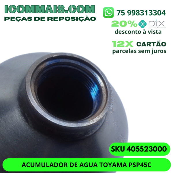 405523000 - ACUMULADOR DE AGUA TOYAMA PSP45C - Image 2