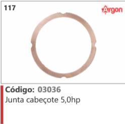 117 Código 03036 Junta cabegote 5,0hp .ARGON