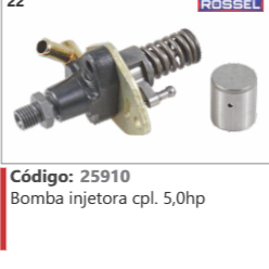 22 Código 25910 Bomba injetora completo 5,0hp ROSSEL