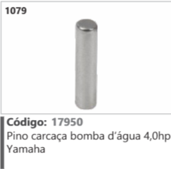 1079 Código 17950 Pino carcaça bomba d'água 4,0hp Yamaha