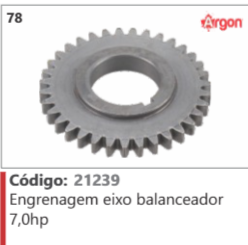 78 Código 21239 Engrenagem eixo balanceador 7,0hp ARGON