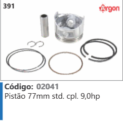 391 Código 02041 Pistão 77mm Standard completo 9,0hp ARGON