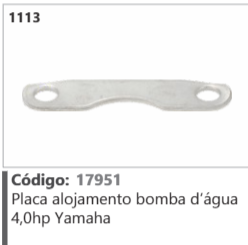 1113 Código 17951 Placa alojamento bomba d'água 4,0hp Yamaha